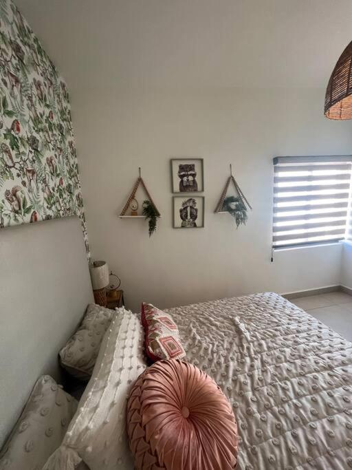 سيوداد خواريز Arcana Lujo Residencial المظهر الخارجي الصورة