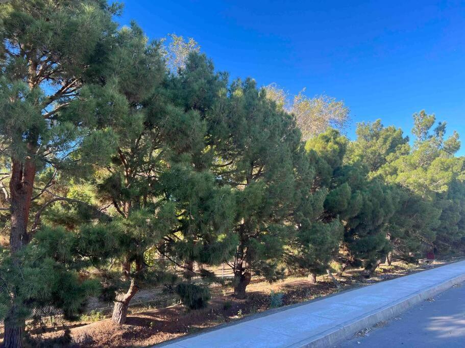 سيوداد خواريز Arcana Lujo Residencial المظهر الخارجي الصورة